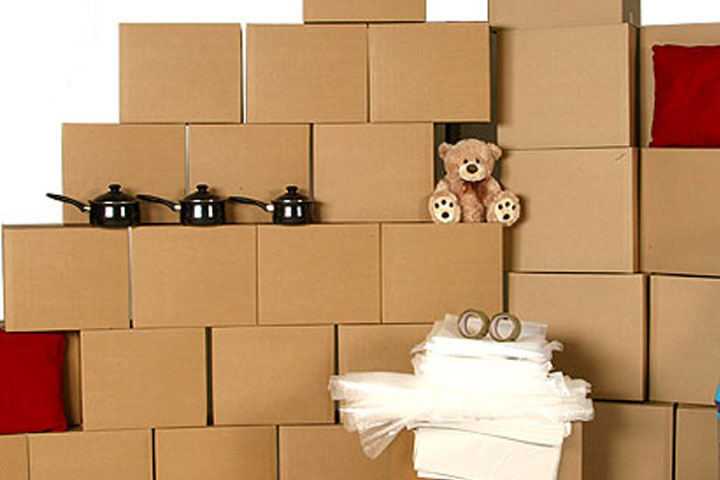 Packers and Movers Services